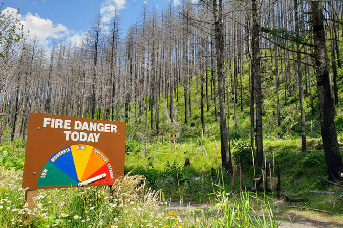 The state has declared fire season open in all districts, with the North Cascade, which includes the Santiam Canyon, one of the last to declare because of the impact of May and June rains. The photo was taken Tuesday on the road to Breitenbush.