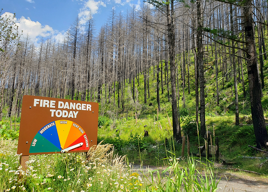 The state has declared fire season open in all districts, with the North Cascade, which includes the Santiam Canyon, one of the last to declare because of the impact of May and June rains. The photo was taken Tuesday on the road to Breitenbush.