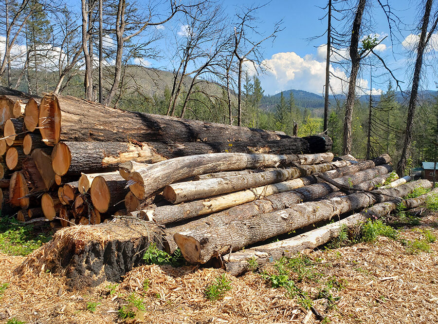 Logs harvested after the 2020 wildfires at Packsaddle County Park near Gates. Forest management and thinning remain hot topics in Oregon, according to a recently released statewide survey. James Day