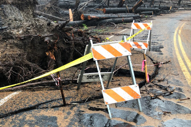 This photo shows 2020 fire damage on North Fork Road. The Forest Service will start this spring on its removal of hazardous trees in fire areas. U.S. Department of Agriculture/U.S. Forest Service