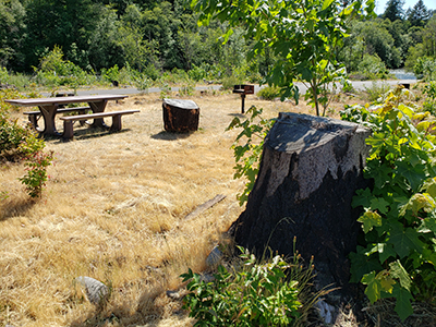 Here is one of the 7 picnic sites that will become available at Fishermen’s Bend starting today. James Day