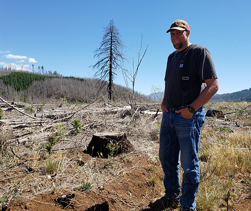 Freres Engineered Wood Forester Aaron Hutchinson is shown in a heavily damaged parcel of Freres timberland in the North Fork area.The company suffered 2020 wildfire damage to 6,000 of its 17,000 acres. James Day