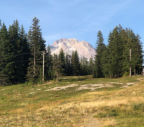 A total of $500,000 in grant money is available for collaborative forest restoration projects on federal lands in Oregon. Oregon Department of Forestry