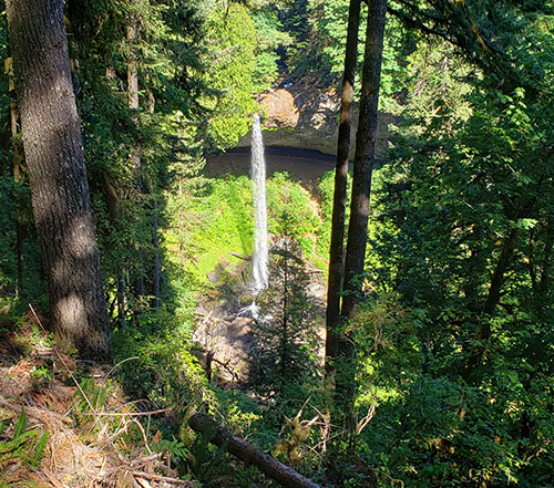 The North Falls from the new viewpoint in the North Canyon area of Silver Falls State Park. James Day