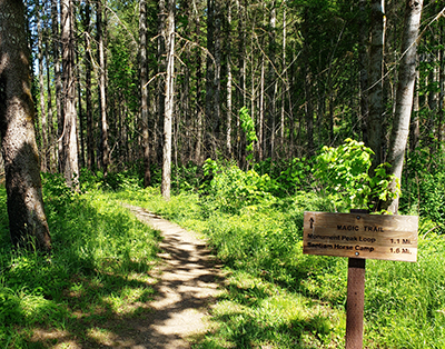 Here is the trailhead that leads to Santiam Horse Camp. The campground is now closed for the season, but the day-use picnicking facilities and trails remain open. James Day