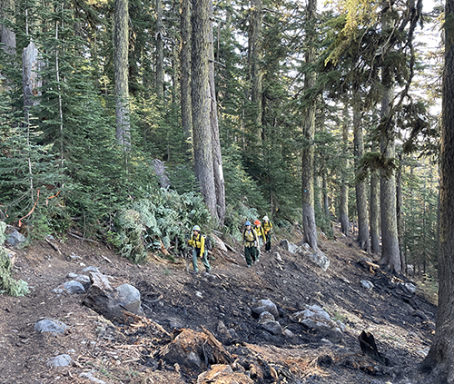 A trail maintenance crew works along a ridge line in the Willamette National Forest. A new federal planning process likely will affect how the forest’s mature and old-growth stands are managed. U.S. Forest Service