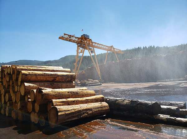 Here is the main Freres log yard in Lyons. The loss of a third of the company’s timber properties in the 2020 wildfires has led to a dramatic reduction in the number of logs passing through the plant. James Day