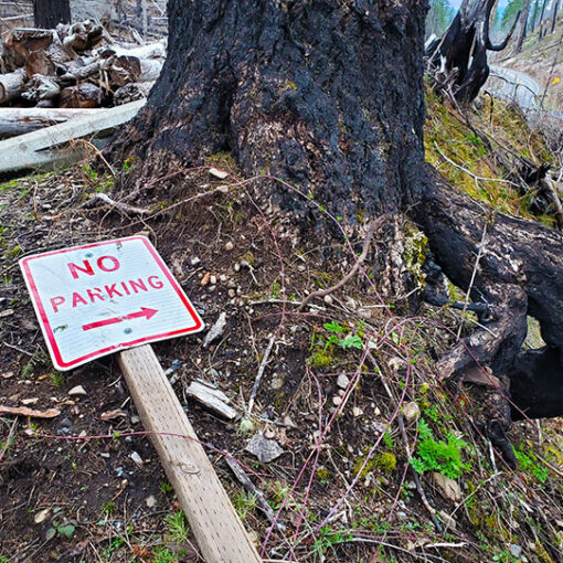 A “no parking” sign amid the debris at Salmon Falls County Park after the 2020 wildfires. Residents are concerned that reopening the parks will mean more parking and trespassing issues for property owners. JAMES DAY